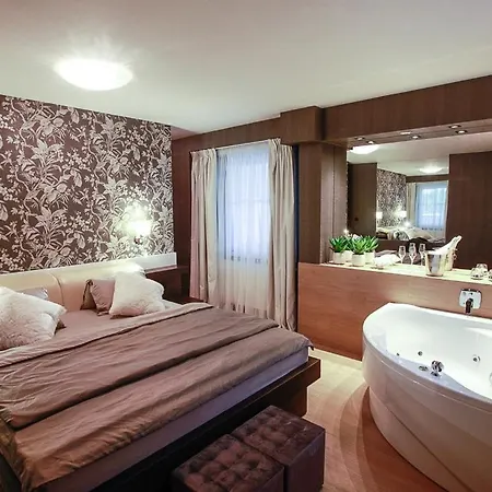 Solid Guest house Mlada Boleslav