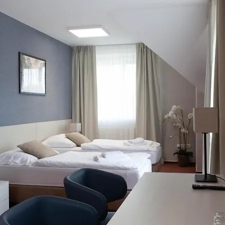 Solid Guest house
