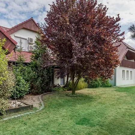 Guest house Solid