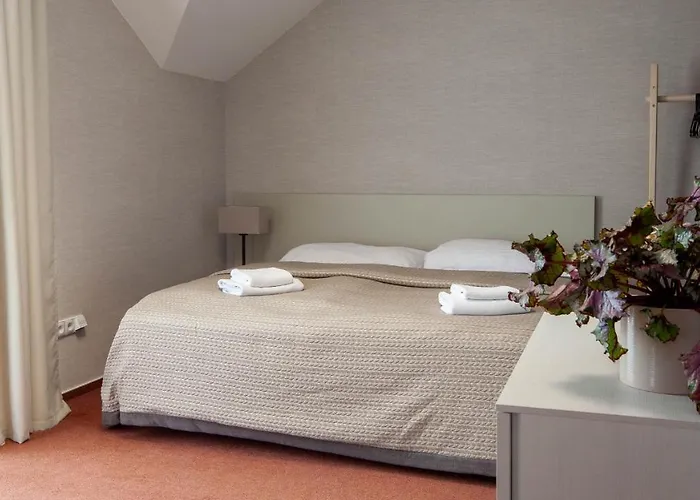 Solid بيت ضيافة Mladá Boleslav