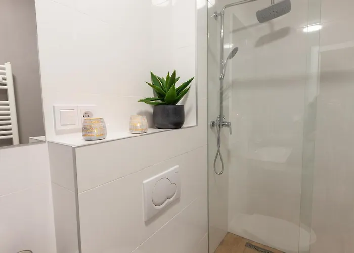 Solid Mladá Boleslav