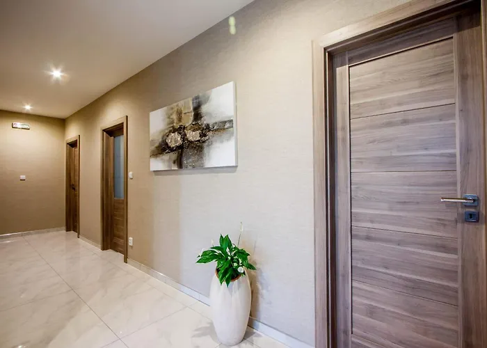 بيت ضيافة Solid