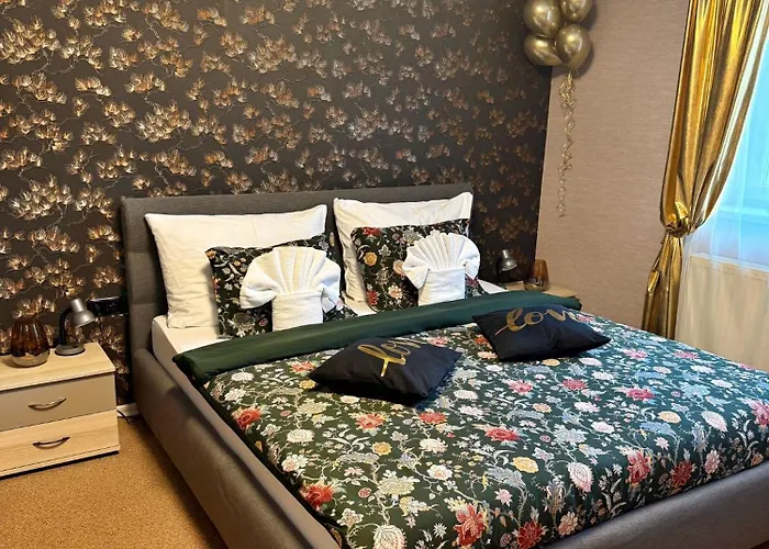 بيت ضيافة Solid